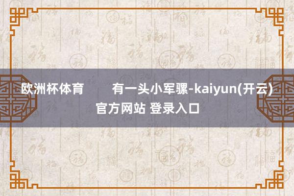 欧洲杯体育        有一头小军骡-kaiyun(开云)官方网站 登录入口