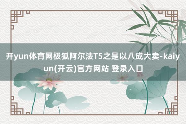 开yun体育网极狐阿尔法T5之是以八成大卖-kaiyun(开云)官方网站 登录入口