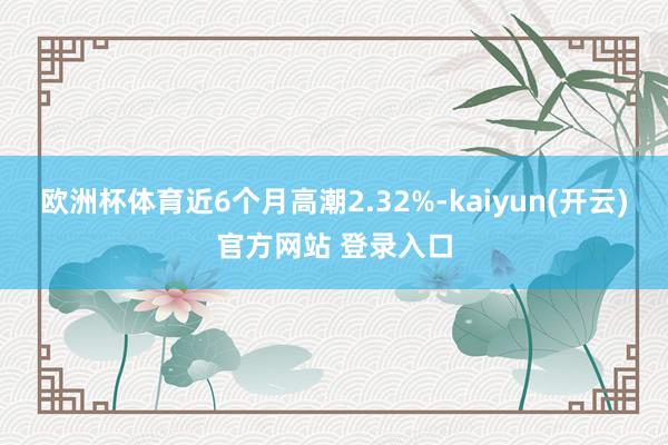 欧洲杯体育近6个月高潮2.32%-kaiyun(开云)官方网站 登录入口