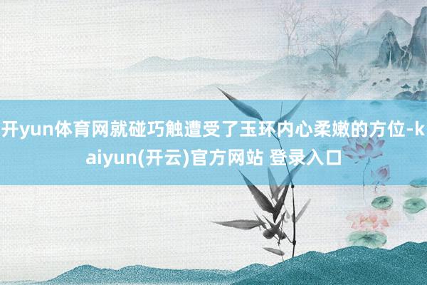 开yun体育网就碰巧触遭受了玉环内心柔嫩的方位-kaiyun(开云)官方网站 登录入口