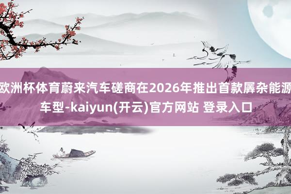 欧洲杯体育蔚来汽车磋商在2026年推出首款羼杂能源车型-kaiyun(开云)官方网站 登录入口