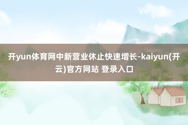 开yun体育网中新营业休止快速增长-kaiyun(开云)官方网站 登录入口