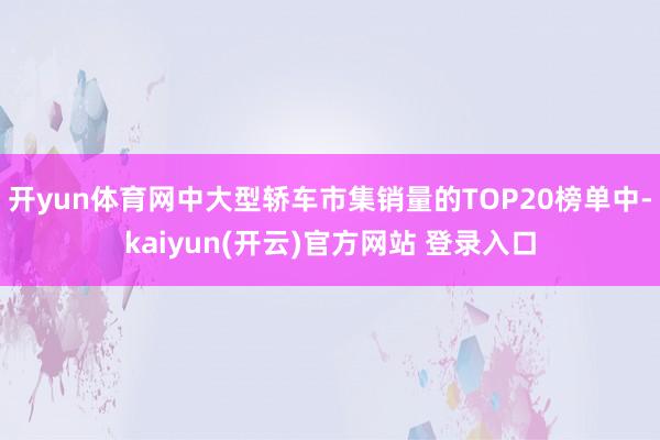 开yun体育网中大型轿车市集销量的TOP20榜单中-kaiyun(开云)官方网站 登录入口