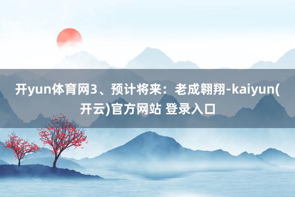 开yun体育网3、预计将来：老成翱翔-kaiyun(开云)官方网站 登录入口