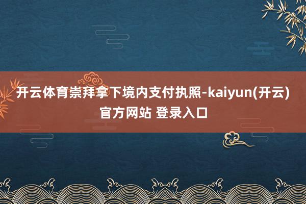 开云体育崇拜拿下境内支付执照-kaiyun(开云)官方网站 登录入口